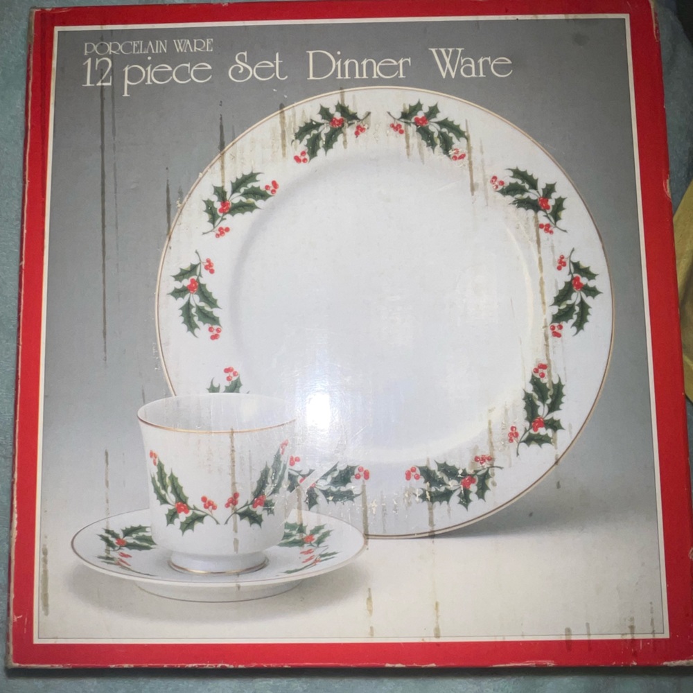 Brand New Vintage Holly Dinner Set